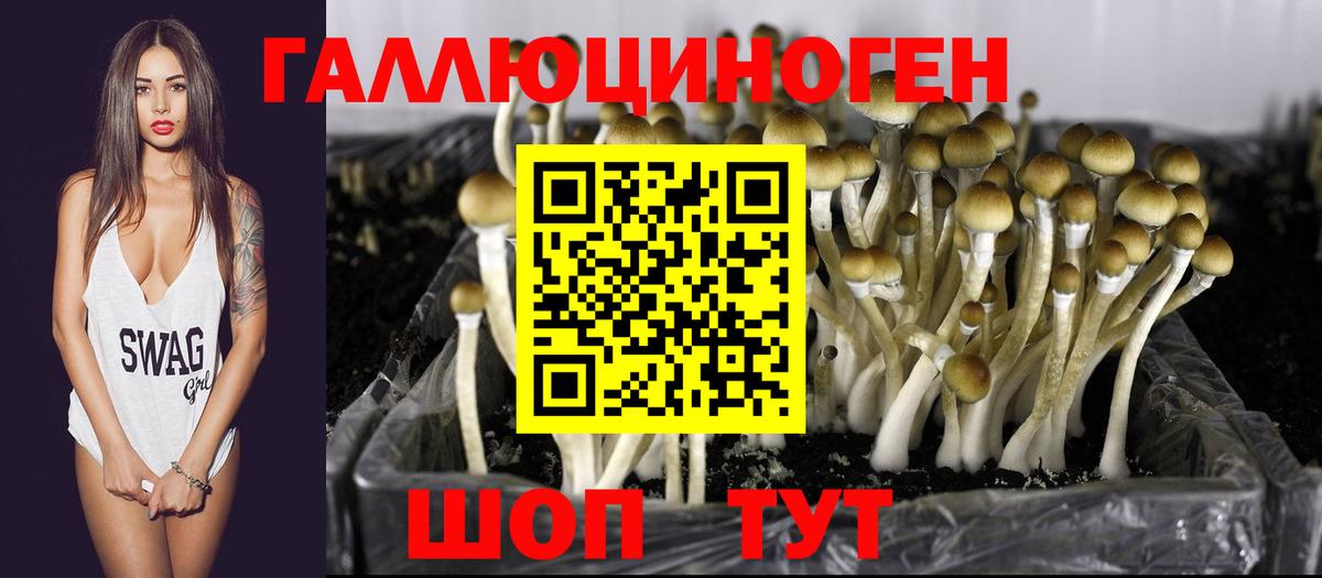 Псилоцибиновые грибы GOLDEN TEACHER Куйбышев