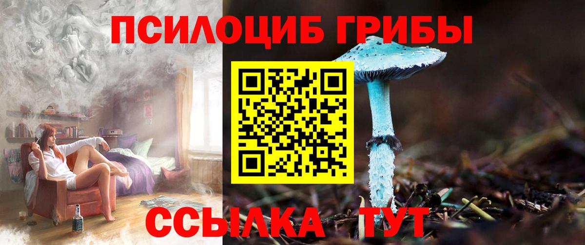 Псилоцибиновые грибы Psilocybe  Вход с VPN  закладки  Куйбышев 